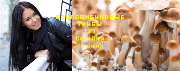 марихуана Вяземский