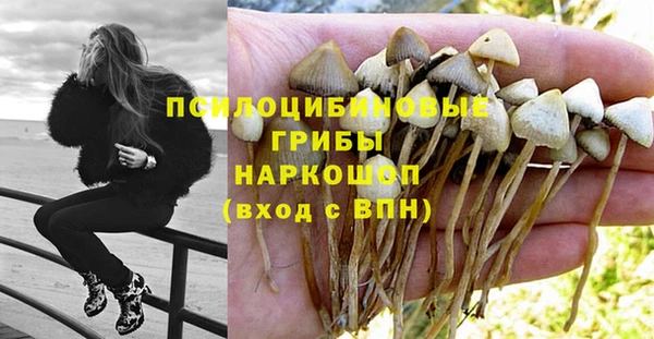 марихуана Вяземский