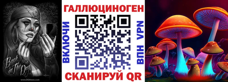 Галлюциногенные грибы Psilocybe  Оха 